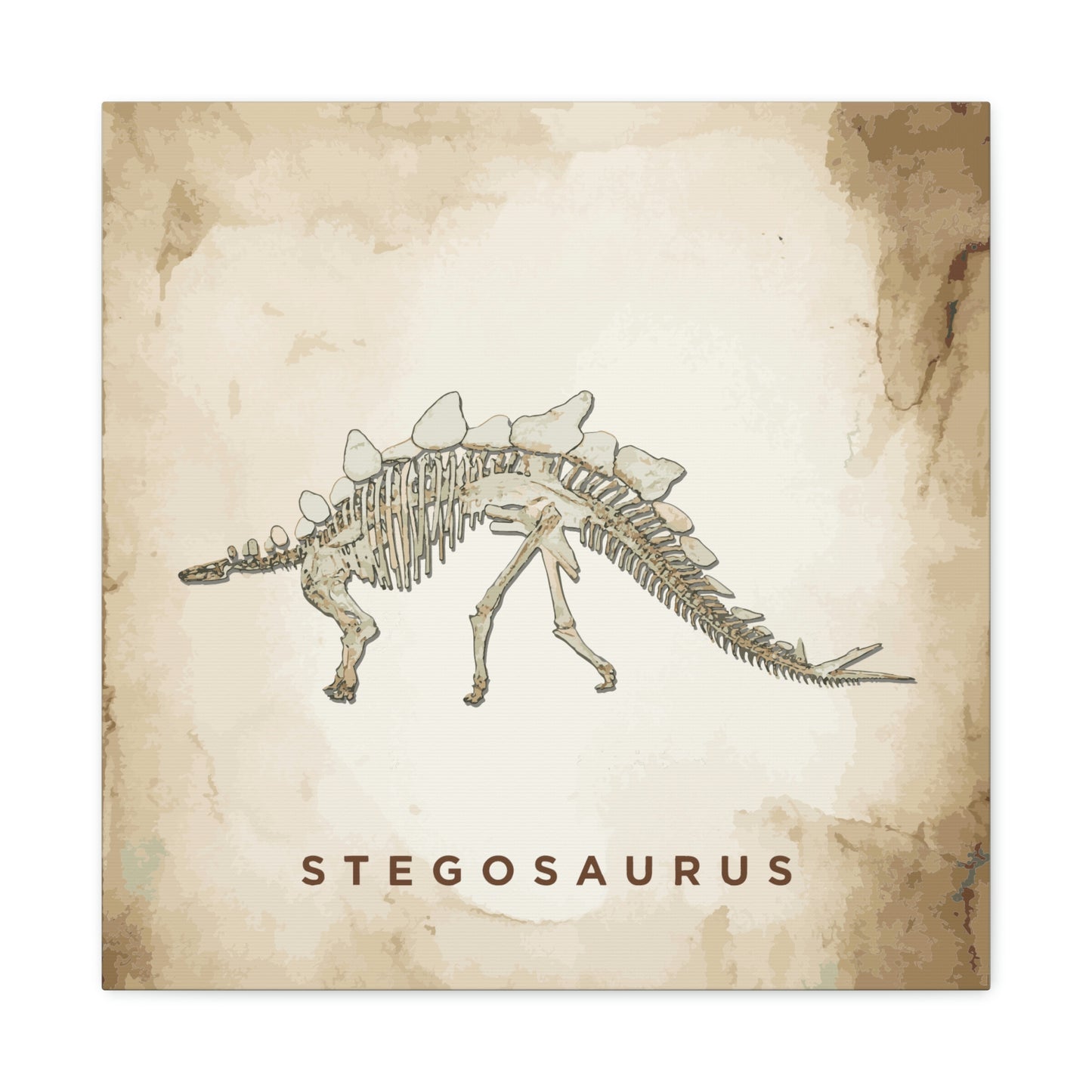 Steggy Stegosaurus